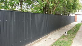 Забор из профнастила серый графит для участка